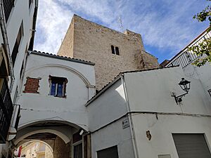 Archivo:Casa Castillo de Jimena 24J 06