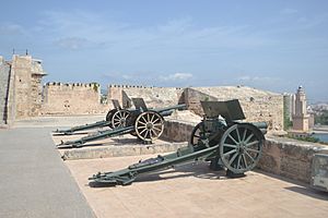 Archivo:Castell de Sant Carles - Cannons