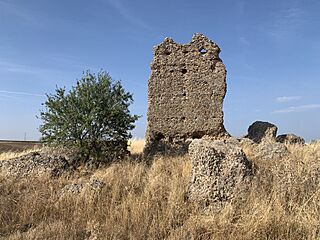 Castillo de Pozaldez 4.jpg