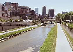 Cherry Creek Denver.jpg