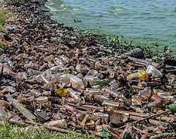 Archivo:Contaminacion del Lago de Maracaibo
