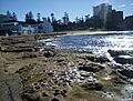 Cronullabeachwater