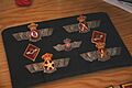 Divisaas del Ejercito del Aire