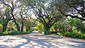 El Portal neighborhood 20110216.jpg