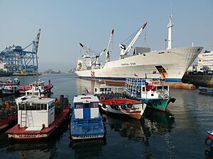 Archivo:El Puerto de Valparaíso. Región de Valparaíso, Chile