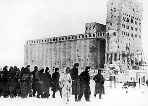 Archivo:German pows stalingrad 1943