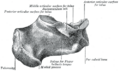 Gray267