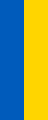 Hanging flag of Ukraine