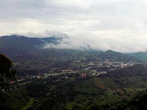 Archivo:La Palma desde Alto Grande
