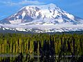 Majestic Mount Adams