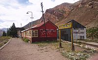 Archivo:Mendoza - Estación Puente del Inca - 20060106a