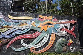 Murals Acapulco, Diego Rivera