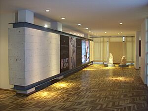 Archivo:Museo de Arte Contemporaneo - panoramio