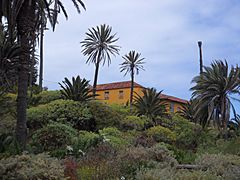 Paisaje de La Rambla de Castro con su Casona. Los Realejos