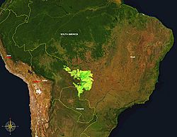 Archivo:Pantanal 55.76W 15.40S