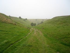 Archivo:Path down from the Ridgeway to Bishopstone, Wiltshire