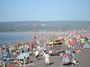 Archivo:Pichilemu Summer2008
