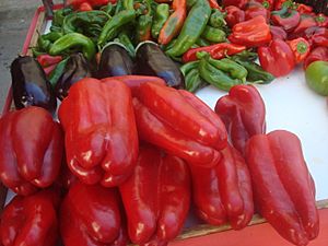 Archivo:Pimientos rojos, origen Castellón