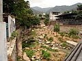 Puente de la Av Constituyentes - Acapulco Mex2