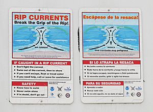 Archivo:Rip current warning signs at Mission Beach