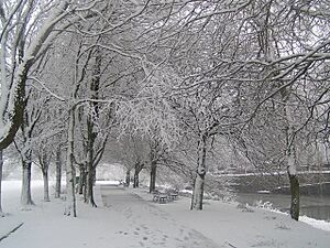 Archivo:Riverside walk opposite Bristol Trader - geograph.org.uk - 190887