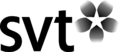 SVT 2006