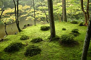 Archivo:Saihouji-kokedera01