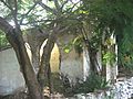 San Antonio Mulix, Yucatán (03)