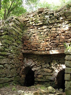 Archivo:Tejera