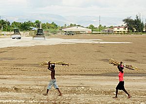 Archivo:US Navy 100219-N-9643W-340 Haitian children carry sugarcane across a field as Sailors from Amphibious Construction Battalion (ACB) 2 clear land for a construction site