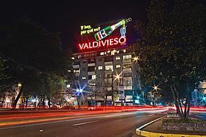 Archivo:Valdivieso sparkling wine neon sign