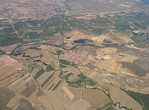 Archivo:Vista aérea de Titulcia