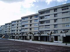 Zelaiondo1