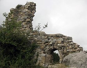 059 Castell de Lillet.jpg