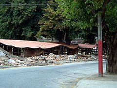 2010 Chile earthquake - Medialuna de Chillán
