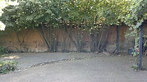 Archivo:2011 tapia adobe