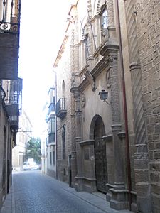 256 Calle de Montiel, Palacio de Torrente