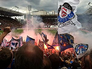 Archivo:Arminia Pauli