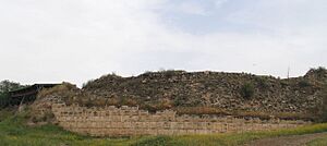 Archivo:Ateret-S-164