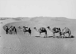 Archivo:B9113 22 simpson desert