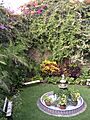 Backyard of Panamanian Embassy in Peru