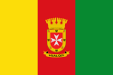 Bandera de Hualqui.svg