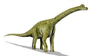 Brachiosaurus BW