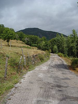 Archivo:Carretera de acceso a Suertes de Ancares.