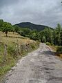 Carretera de acceso a Suertes de Ancares.