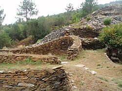 Castro de Pendia (Boal) (03).jpg