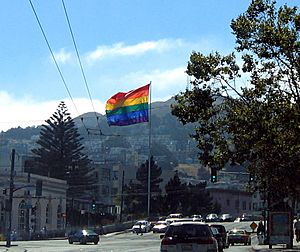 Archivo:Castrosanfranciscoflag