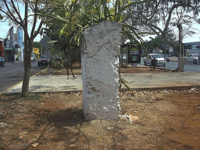 Chuichén, Yucatán (04)