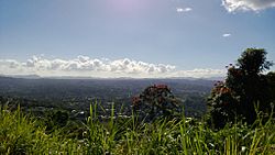 Collores, Las Piedras, Puerto Rico - panoramio (1).jpg