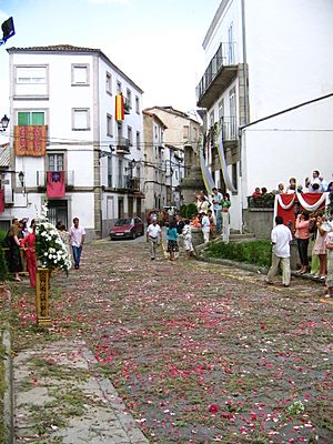 Archivo:Corpus Christi de Béjar decoración calle